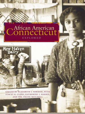 cover image of African American Connecticut Explored